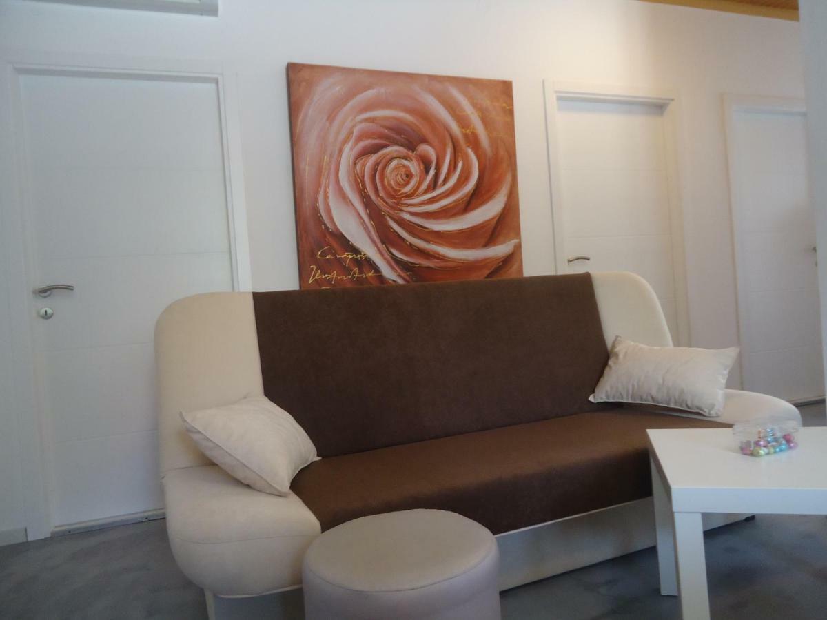 Ines Apartment Нови Винодолски Екстериор снимка